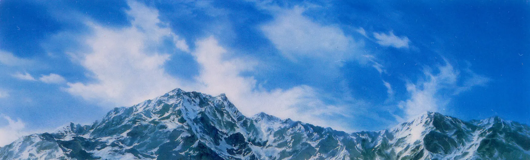 Backdrop