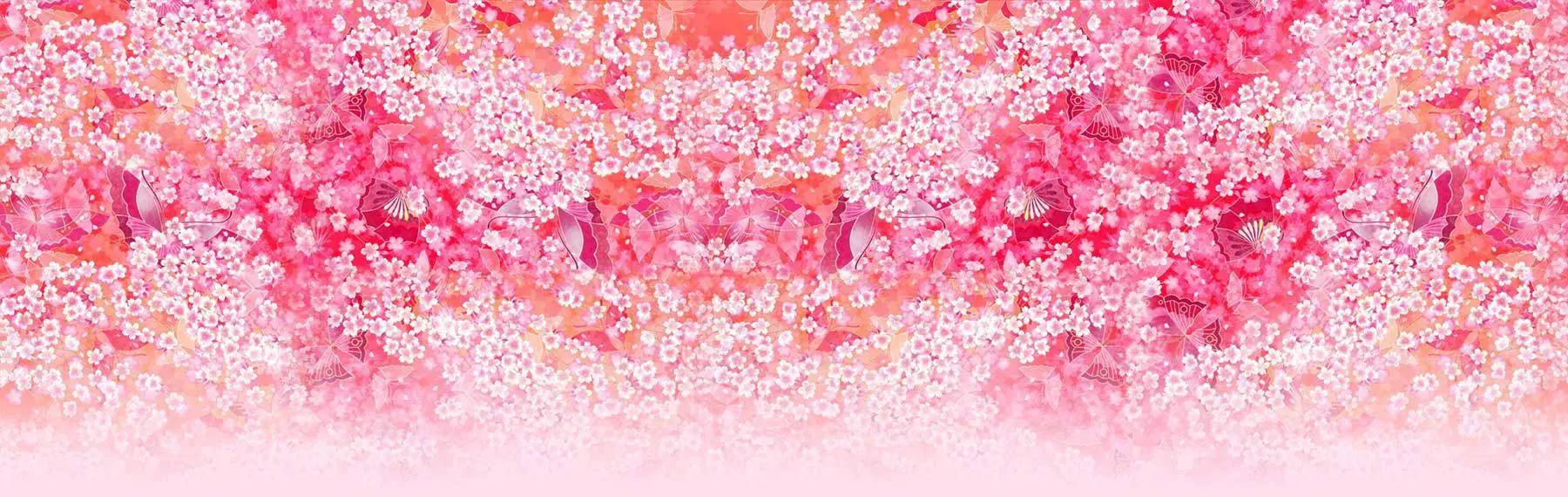 Backdrop