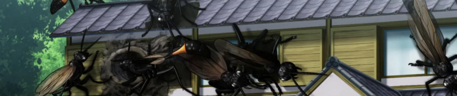 Backdrop