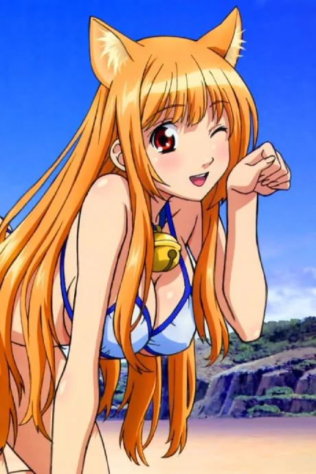 Asobi ni Iku yo! Asobi ni Oide poster