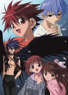 D.N.Angel (2003)