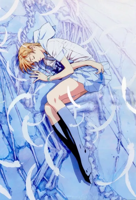 Escaflowne poster