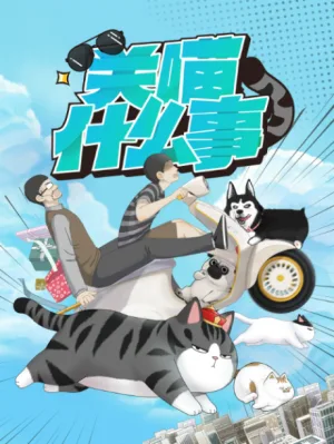关喵什么事 poster