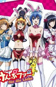 Kämpfer für die Liebe poster