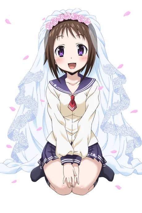 Okusama ga Seitokaichou! poster