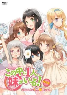 Kono Naka ni Hitori, Imouto ga Iru!: Ani, Imouto, Koibito poster