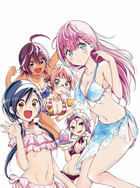 Bokutachi wa Benkyou ga Dekinai OVAs poster