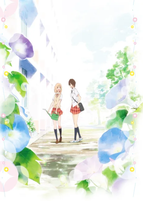 Kimi no Hikari: Asagao to Kase-san. poster
